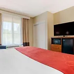 Comfort Suites Tallahassee Downtown