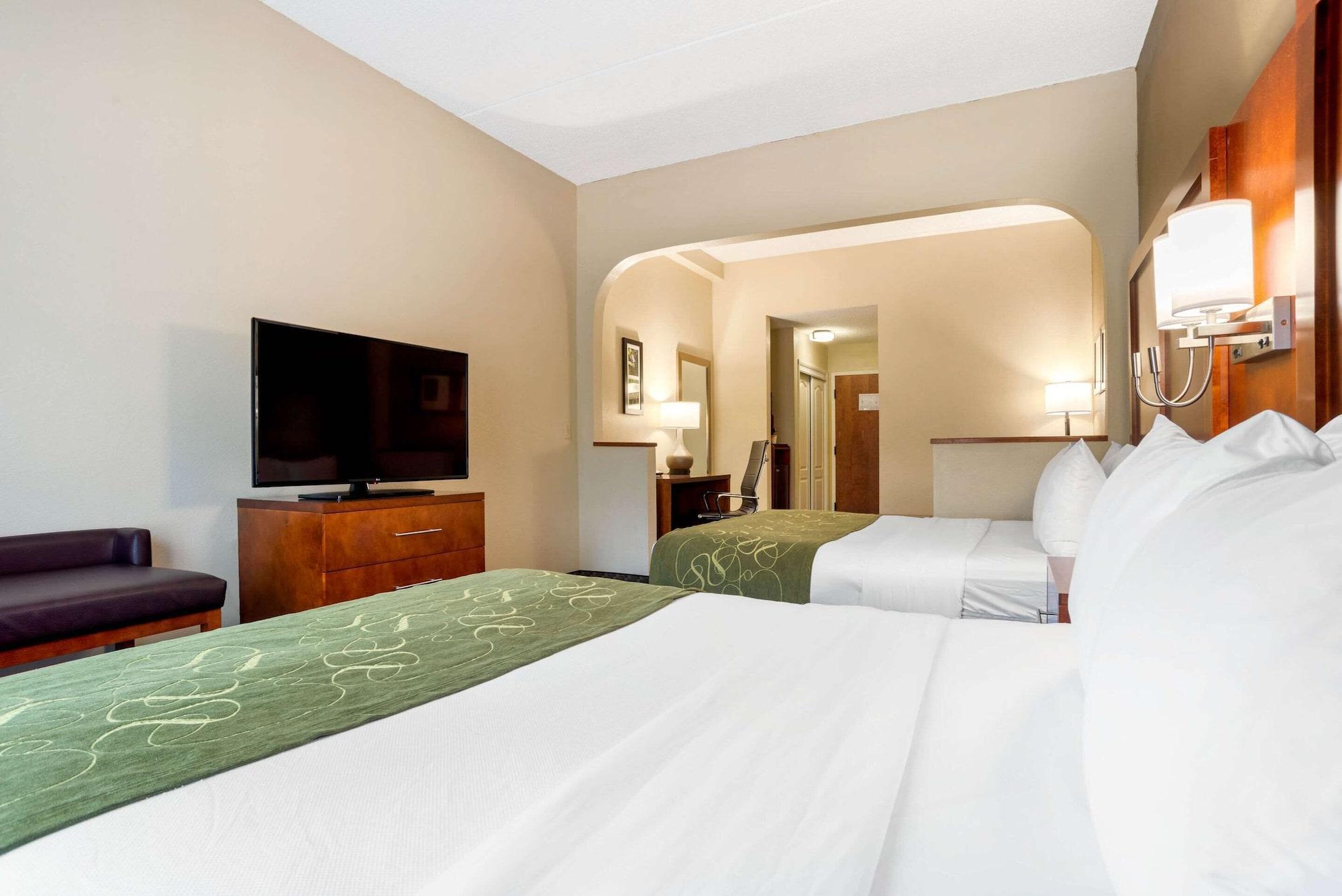 Comfort Downtown Hotel
