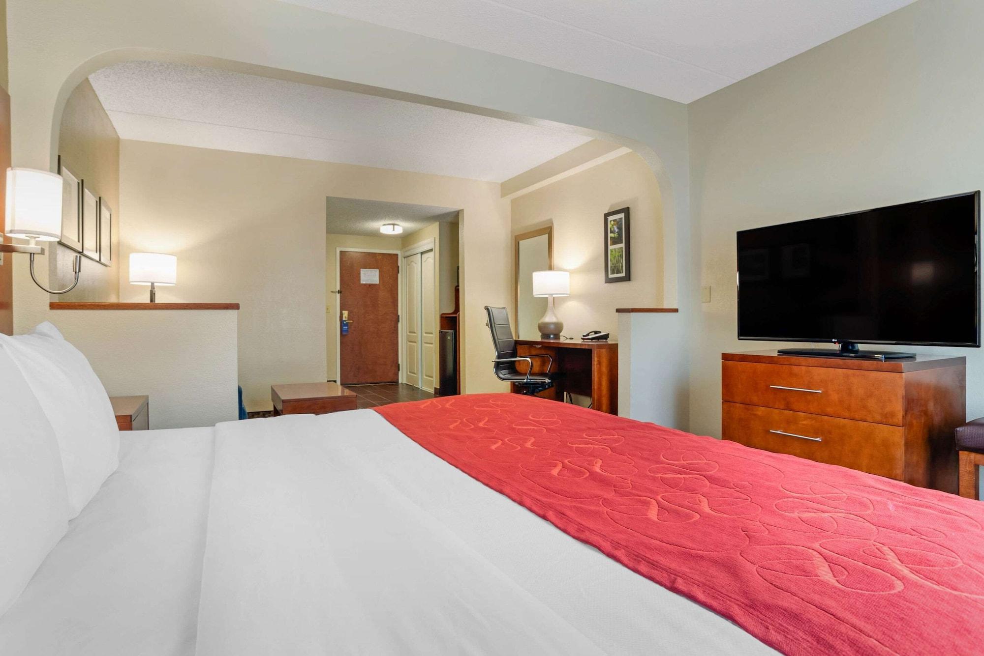 Comfort Downtown Hotel