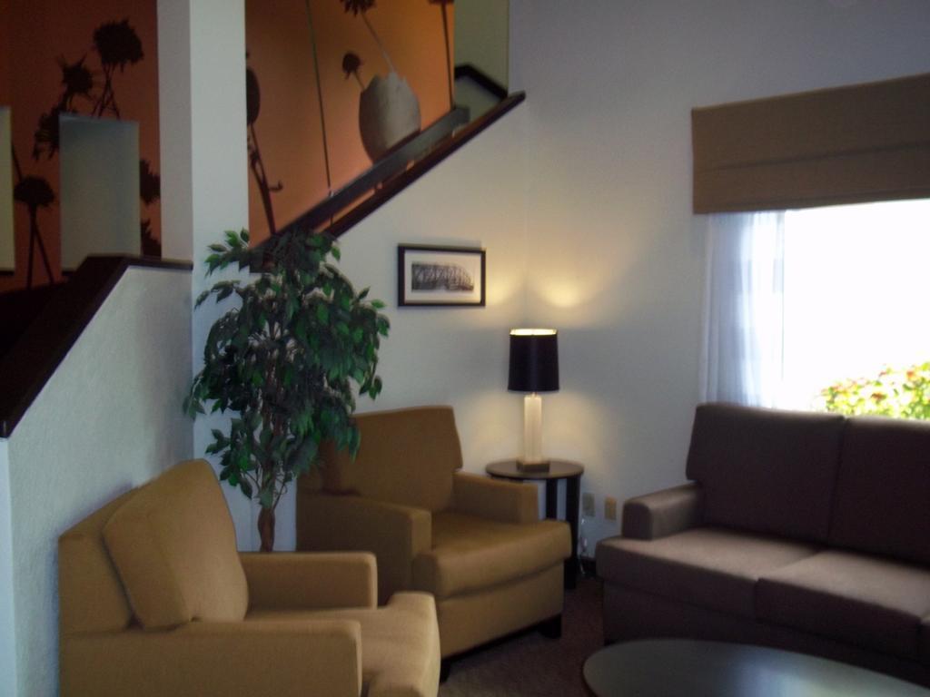 Bob - Boutique On Budget Inn 2*