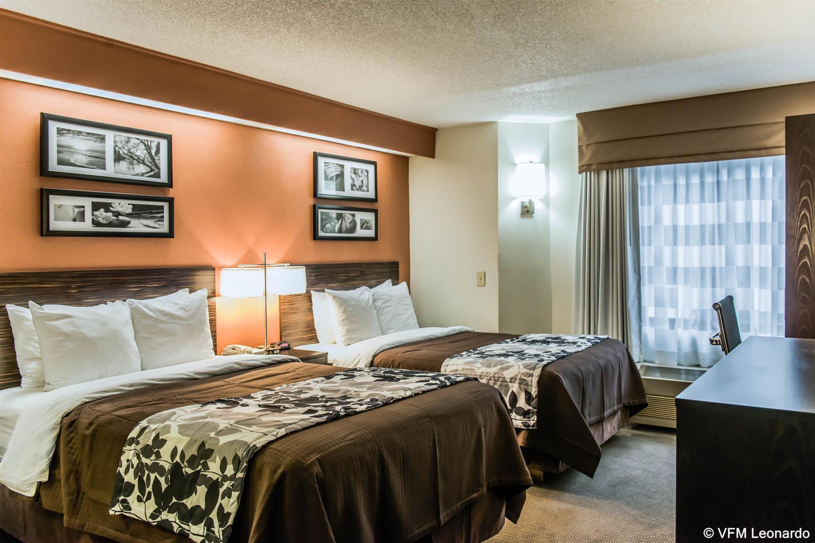 Bob - Boutique On Budget Inn