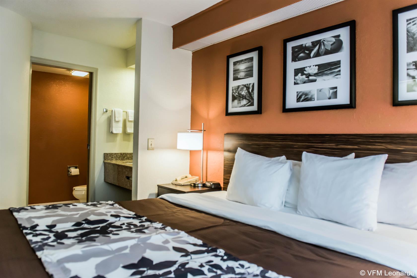 Bob - Boutique On Budget Inn