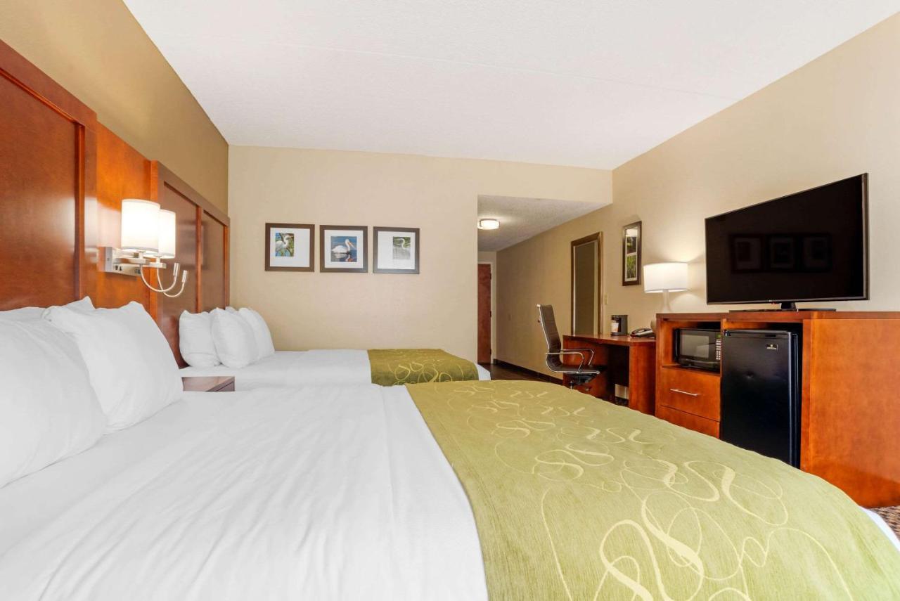 Comfort Downtown 3*