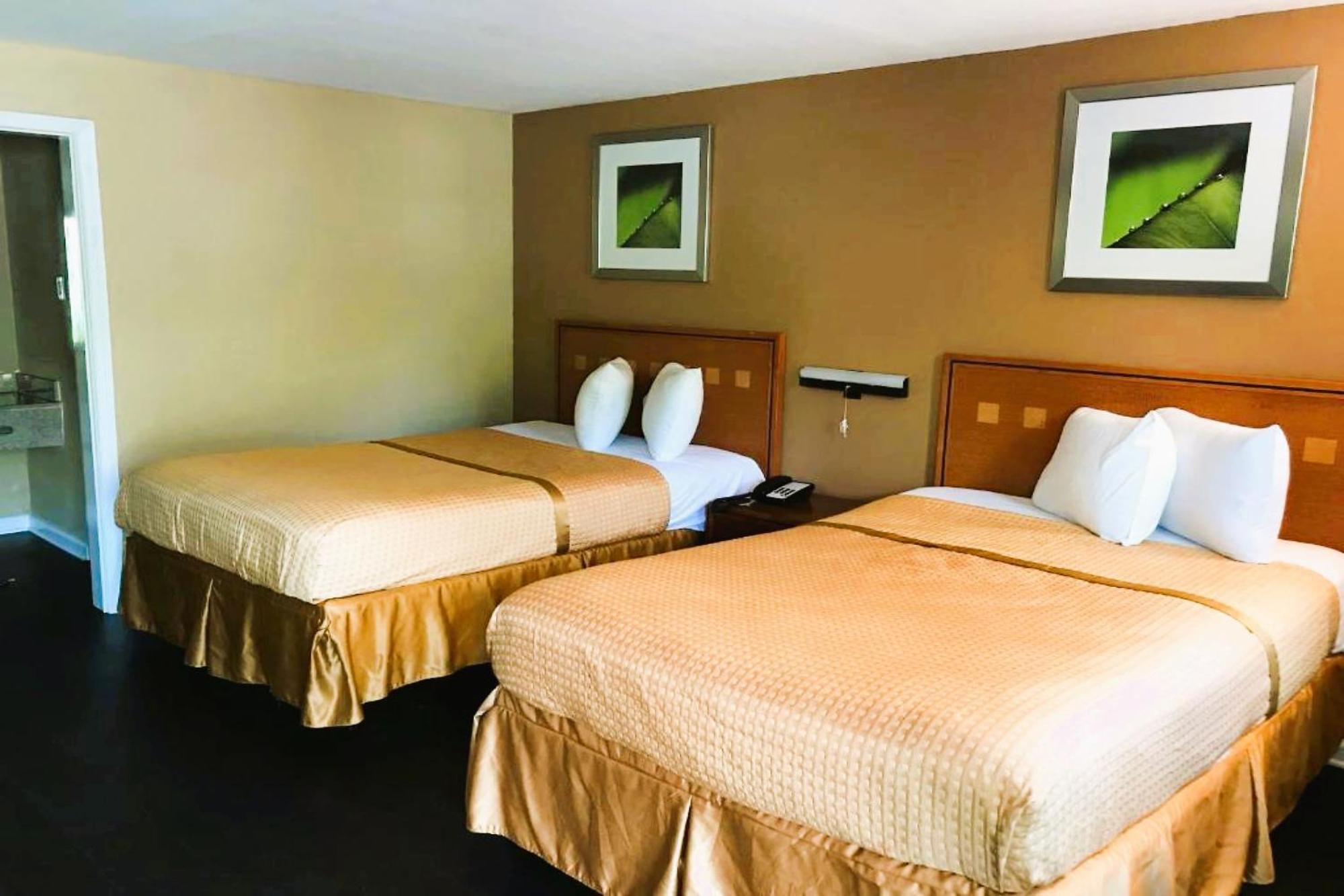 Hotel Oyo Downtown