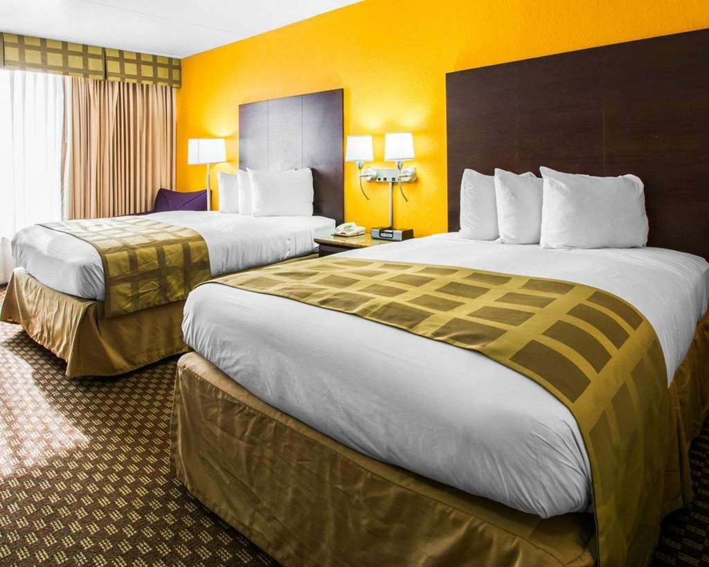 Quality & Hotel
