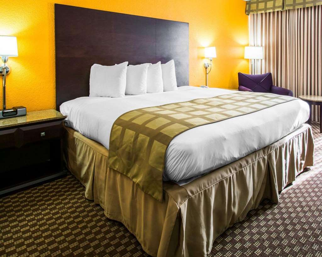Quality & Hotel