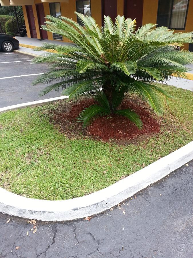 Howard Johnson By Wyndham Tallahassee